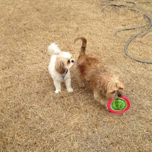 Meet your Posher, Linda